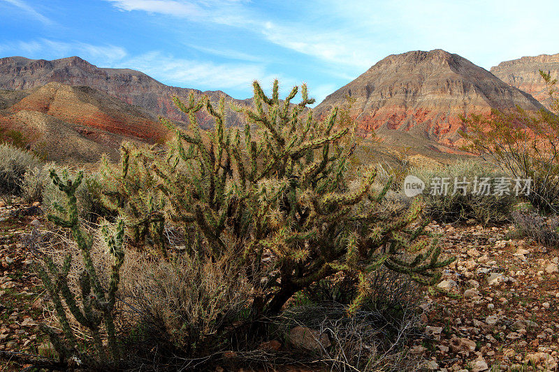 早上好，Virgin River Canyon